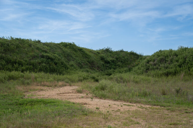 T1G Range 4 Hogan's Alley exfil