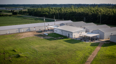 Aerial of North and South Beer Garden, Building #5, Laundry, and Lodging