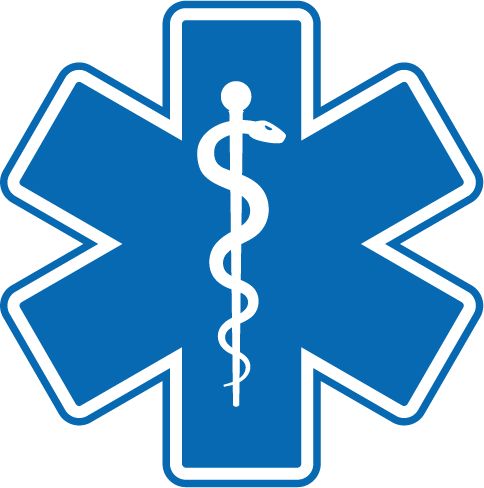 T1G UAS Icon T1G-Star of Life